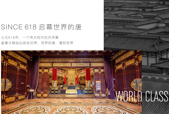 618启幕世界的唐